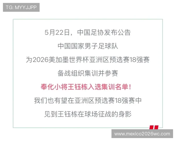 关于2026年世界杯足球赛举办国家的最新确认与比赛场馆信息