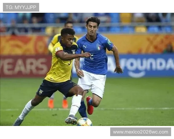 南美洲区预选赛名额竞争激烈程度分析及各队晋级可能性全面解读