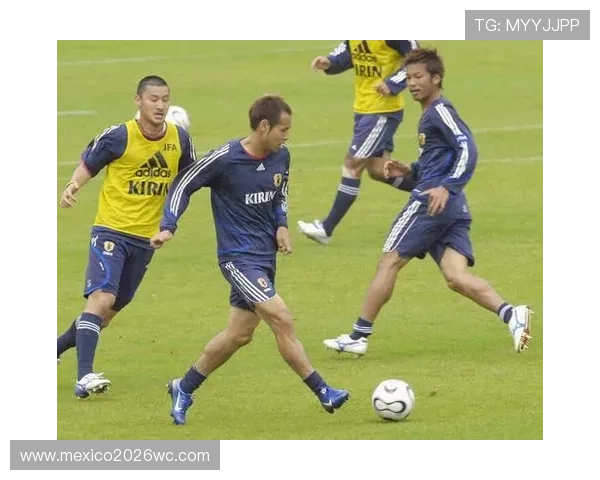 全面解读世界杯亚洲预选赛各支球队实力对比与晋级概率，助你预测比赛走向